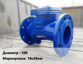 Клапан стальной 100 19с38нж Ру63 обратный, поворотный